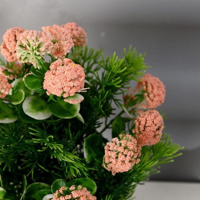 Бонсай в горшке Бонсай в горшке "Лук голубой" 11х25 см,(h горшка=8,5см) микс