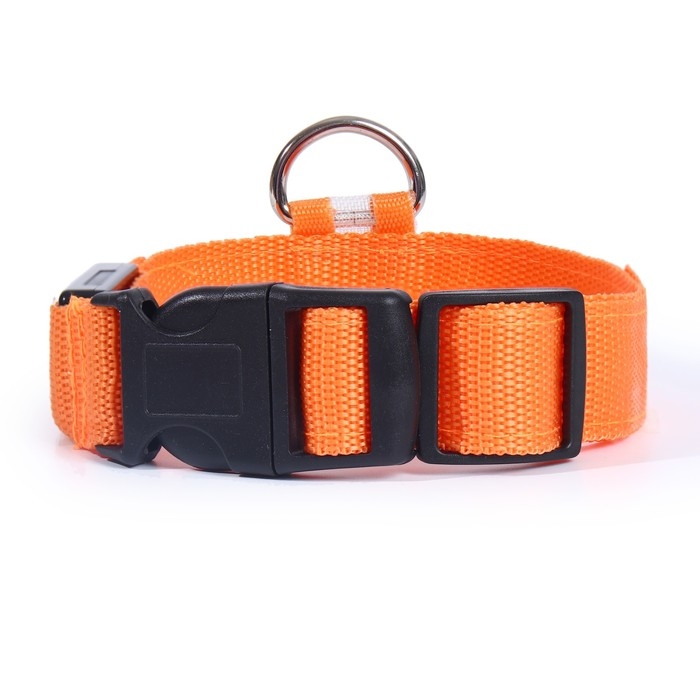 Ошейник с подсветкой размер S, ОШ 35-43 х 2,5 см, 3 режима свечения оранжевый Ошейник с подсветкой размер S, ОШ 35-43 х 2,5 см, 3 режима свечения оранжевый
