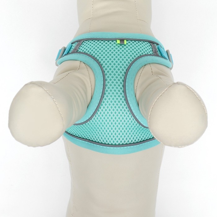 Комплект с мягкой шлейкой, быстросъемный, L, поводок 140 см, ОШ 49-56 см, ОГ 56-68 см, бирюзовый Комплект с мягкой шлейкой, быстросъемный, L, поводок 140 см, ОШ 49-56 см, ОГ 56-68 см, бирюзовый