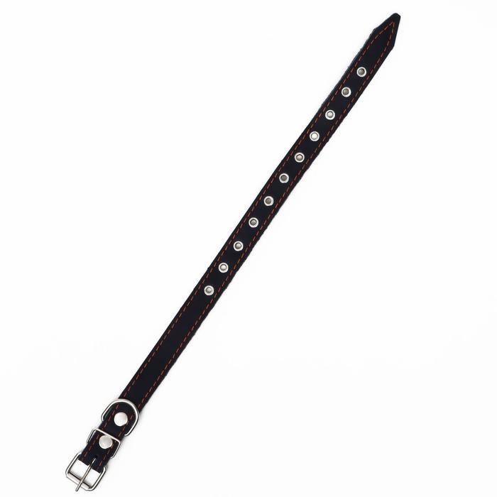 Ошейник кожаный однослойный, безразмерный, 56 х 2.5 см, ОШ 17-44 см, синий Ошейник кожаный однослойный, безразмерный, 56 х 2.5 см, ОШ 17-44 см, синий