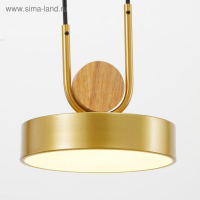 Светильник BayerLux 35425/1 LED 24Вт 3000-6000К золотой 18х18х20 см