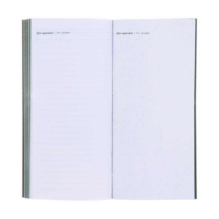 Еженедельник датированный 2025 года, 80х165 мм, 64 листа ESCALADA, мягкая обложка из искусственной кожи, блинтовое тиснение, блок 70 г/м², зелёный Еженедельник датированный 2025 года, 80х165 мм, 64 листа ESCALADA, мягкая обложка из искусственной кожи, блинтовое тиснение, блок 70 г/м², зелёный