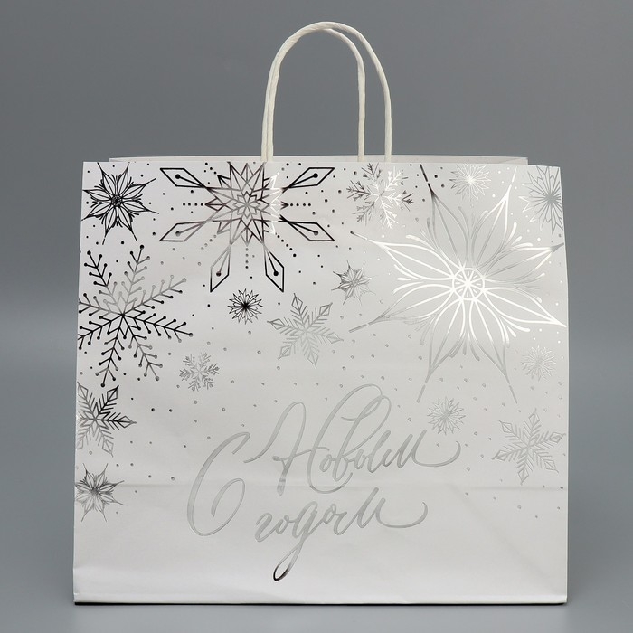 Пакет подарочный новогодний крафтовый Winter, 32 х 28 х 15 см, Новый год Пакет подарочный новогодний крафтовый Winter, 32 х 28 х 15 см, Новый год