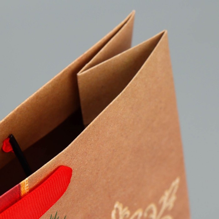 Пакет подарочный новогодний крафтовый вертикальный «Новогодний подарок», M 26 х 30 х 9 см, Новый год Пакет подарочный новогодний крафтовый вертикальный «Новогодний подарок», M 26 х 30 х 9 см, Новый год