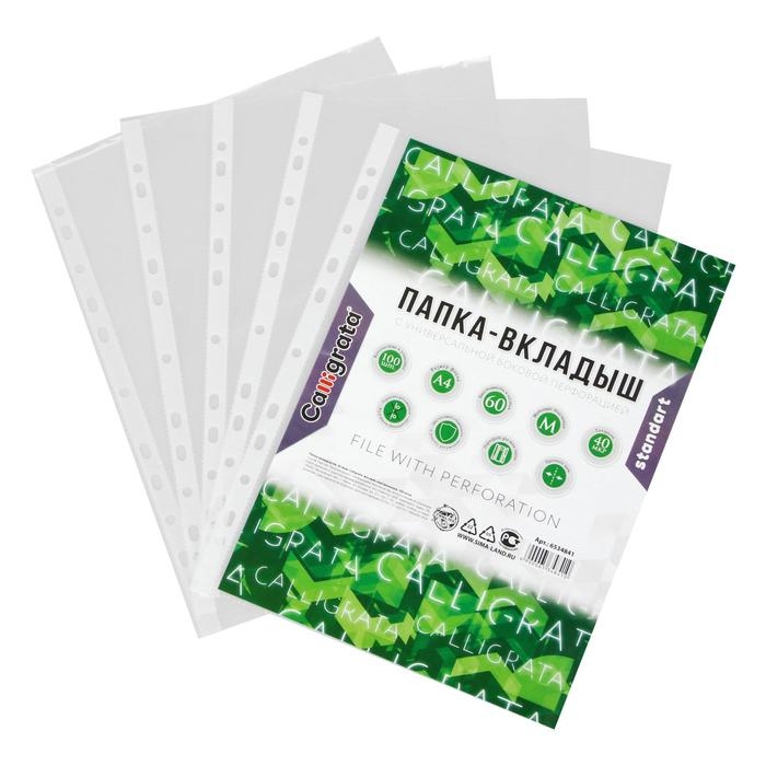 Файл-вкладыш А4, 40 мкм, Calligrata, матовый, вертикальный, 100 штук Файл-вкладыш А4, 40 мкм, Calligrata, матовый, вертикальный, 100 штук
