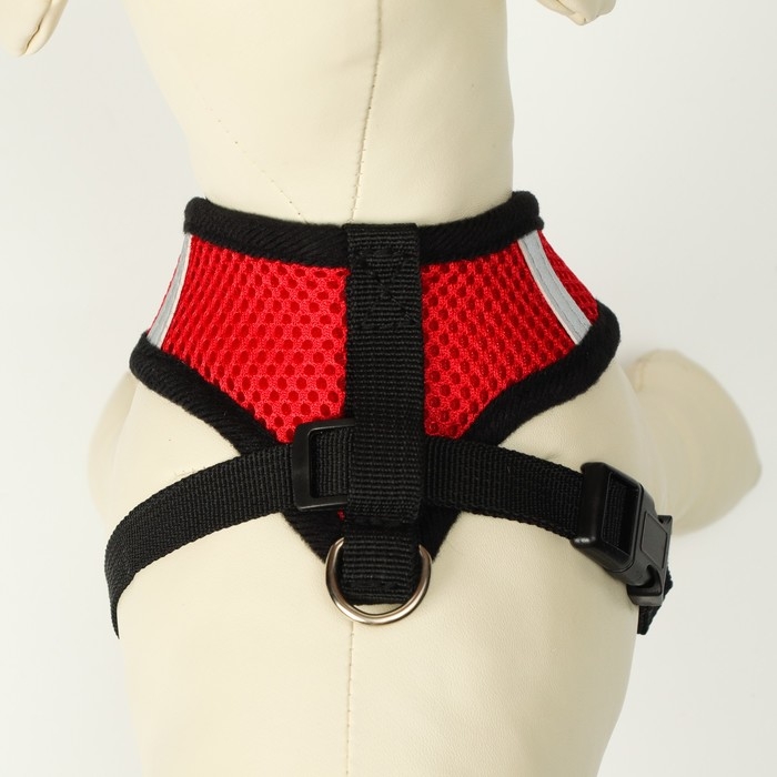 Комплект амуниции со светоотражающей нашивкой, S, ОШ 24 см, ОГ 28-33 см, красный Комплект амуниции со светоотражающей нашивкой, S, ОШ 24 см, ОГ 28-33 см, красный