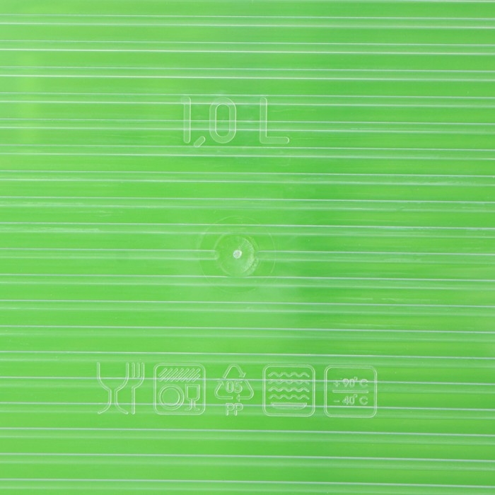 Набор пищевых контейнеров «BioFresh», 3 шт: 500 мл, 1 л, 1.6 л, цвет прозрачный, крышки МИКС