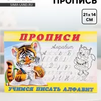 Раскраска-пропись &laquo;Учимся писать алфавит&raquo;