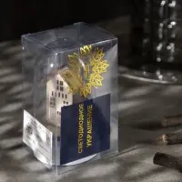 Светодиодная фигура под куполом &laquo;Дед Мороз с мешком&raquo; 6&times;9.5&times;6 см, дерево, от батареек LR1130&times;3, свечение тёплое белое