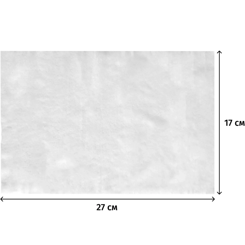 Полотенца влажные AURA FAMILY с антиб.эфф. big-pack с крышкой 60шт/уп КК/10