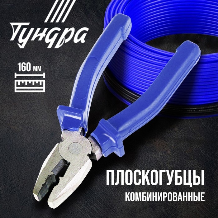 Плоскогубцы комбинированные ТУНДРА, CrV, шлифованные, пластиковые рукоятки, 160 мм Плоскогубцы комбинированные ТУНДРА, CrV, шлифованные, пластиковые рукоятки, 160 мм