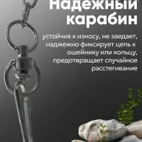 Цепь для привязи собак, 3 м, калибр 3&times;16 мм, черная