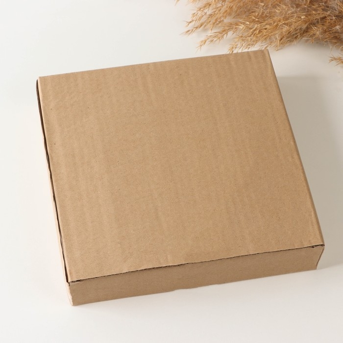 Набор фарфоровых тарелок «День», 2 предмета: d=25,5 см, цвет белый Набор фарфоровых тарелок «День», 2 предмета: d=25,5 см, цвет белый