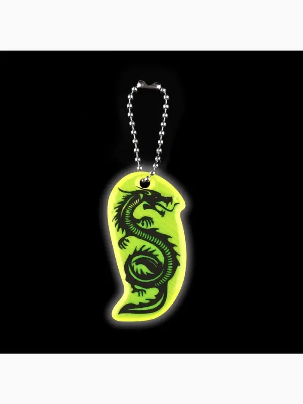 Светоотражающий элемент &laquo;Силуэт дракона&raquo;, двусторонний, 5.8&times;3.1 см, МИКС