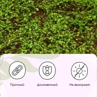 Декоративная панель, 90&times;40 см, &laquo;Ряска&raquo;, Greengo