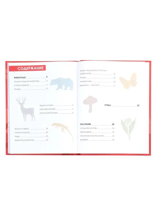Детская энциклопедия "Красная книга" 48 стр. 7+