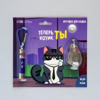 Игрушка для кошек лазер+мышь «Теперь котик ты»