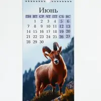 Календарь 2027 на ригеле &laquo;Символ года&raquo;, 16.5&times;34 см