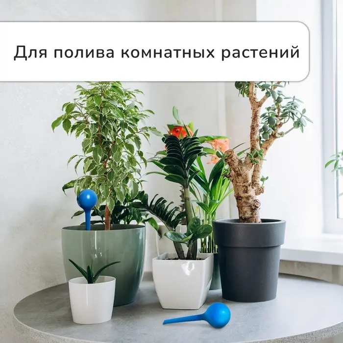 Автополив для комнатных цветов, 380 мл, h=16 см, пластик, МИКС