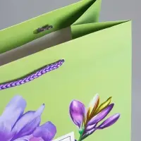 Пакет подарочный ламинированный &laquo;Вдохновение&raquo;, светло - зелёный, 26&times;12&times;32 см