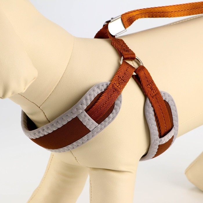 Комплект мягкая шлейка, круглый поводок 1,5 х 120 см с вертлюгом, M, ОШ 32-72 см, ОГ 32-72 см, корич Комплект мягкая шлейка, круглый поводок 1,5 х 120 см с вертлюгом, M, ОШ 32-72 см, ОГ 32-72 см, корич