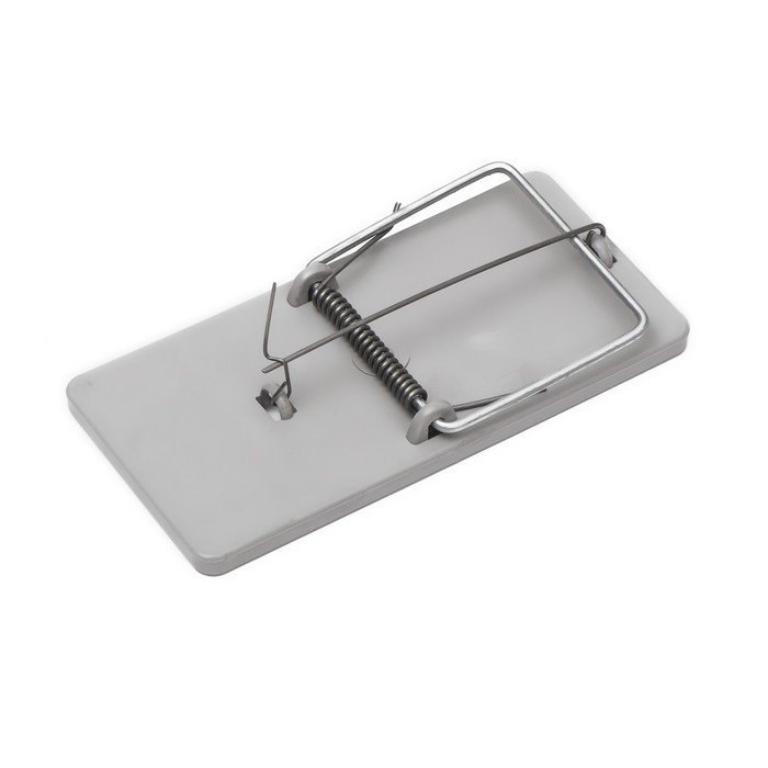 Мышеловка, 12 × 6 см, пластиковая Мышеловка, 12 × 6 см, пластиковая