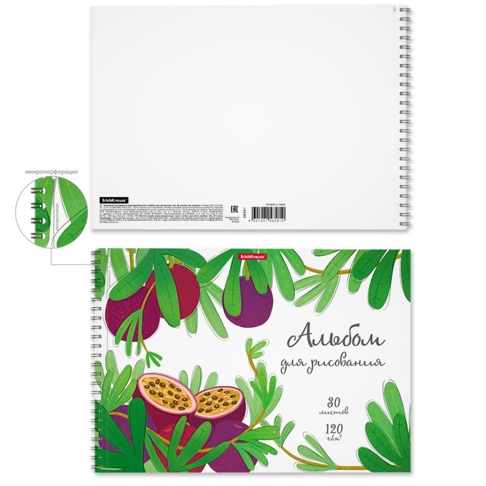 Альбом для рисования А4, 30 листов на спирали, ErichKrause Juicy Fruits, блок 120 г/м², 100% белизна, перфорация для отрыва, твёрдая подложка
