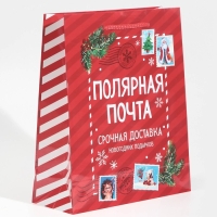 Пакет подарочный новогодний ламинированный «Полярная почта», ML 21 х 25 х 8 см