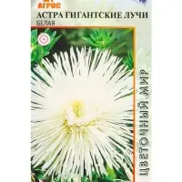 Семена Астра гигант Лучи Белая 0,3 г Семена Астра гигант Лучи Белая 0,3 г