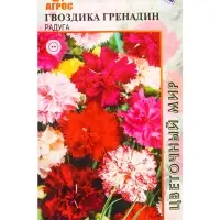 Семена Гвоздика Гренадин Радуга 0,2 г Семена Гвоздика Гренадин Радуга 0,2 г