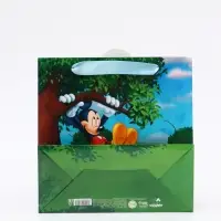 Пакет подарочный «Мышонок», 22 × 22 × 10 см Пакет подарочный «Мышонок», 22 × 22 × 10 см