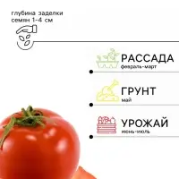 Семена Томат &laquo;Бонсай&raquo;, балконный, 0.1 г, &laquo;Гавриш&raquo;