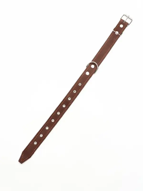 Ошейник комбинированный, безразмерный, 65&times;3.5 см, ОШ 31-61 см, кожа, брезент, коричневый