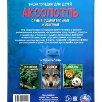 Энциклопедия «Аксолотль. Самые удивительные животные» 405007 Энциклопедия «Аксолотль. Самые удивительные животные» 405007