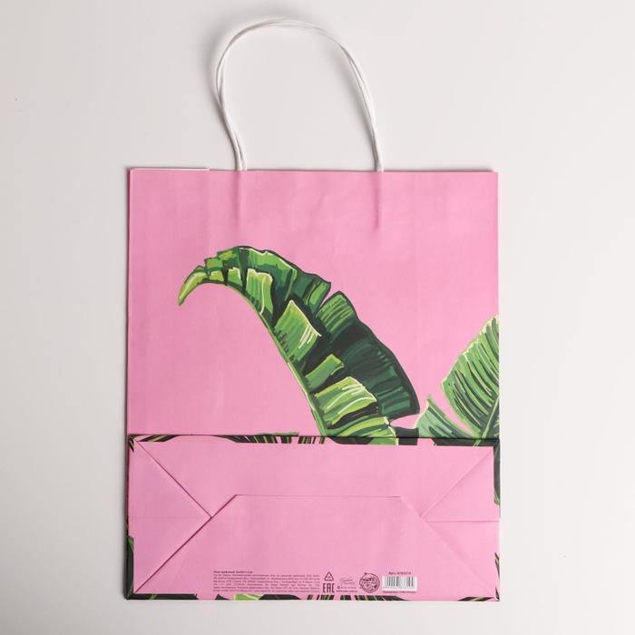 Пакет подарочный крафтовый, упаковка, «Тропики», 26 х 30 х 11,5 см Пакет подарочный крафтовый, упаковка, «Тропики», 26 х 30 х 11,5 см