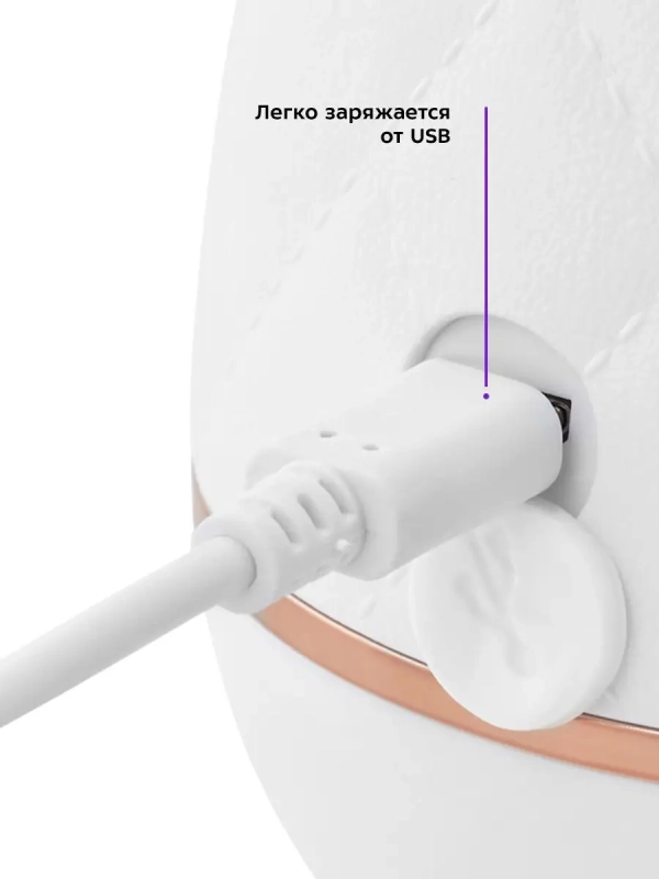Портативный блендер КТ-3006 Портативный блендер КТ-3006