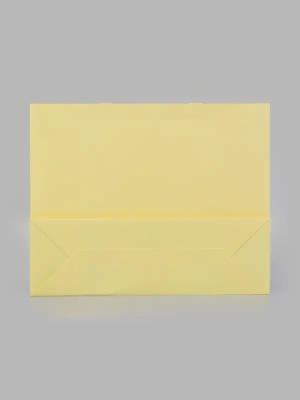 Пакет подарочный, ламинированный, горизонтальный, &laquo;Молочный&raquo;, 40&times;32&times;13