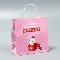 Пакеты подарочные крафтовые &laquo;Капелька волшебства&raquo;, набор 5 шт., 22&times;22&times;11 см