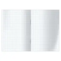 Книга учета А4, 96 листов, клетка, 200&times;290 мм, обложка картон 7Б, белый, блок офсетный