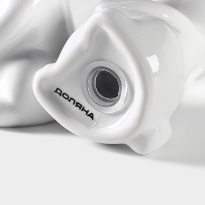 Набор для специй Доляна «Зайка», 2 предмета: солонка 50 мл, перечница 50 мл, цвет белый Набор для специй Доляна «Зайка», 2 предмета: солонка 50 мл, перечница 50 мл, цвет белый