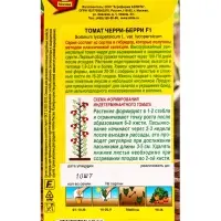 Семена Томат Черри-берри F1 Профи-Аэлита, Ц/П,10 шт.