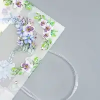 Пакет подарочный прозрачный &laquo;Счастье&raquo;, 30&times;26&times;12 см
