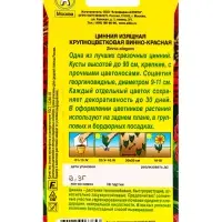Семена цветов Цинния Крупноцветковая винно-красная , Ц/П,0,3 г Семена цветов Цинния Крупноцветковая винно-красная , Ц/П,0,3 г