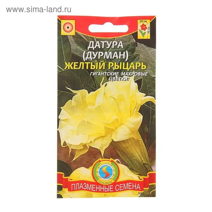 Семена Дурман  Семена Дурман "Желтый рыцарь", 3 шт