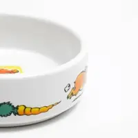 Миска для грызунов &laquo;Лакомство&raquo;, 80 мл, 8.5&times;3 см, керамика, белая