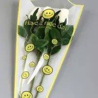 Пакет цветочный Конус, белый, 28×9×44 см±1 см