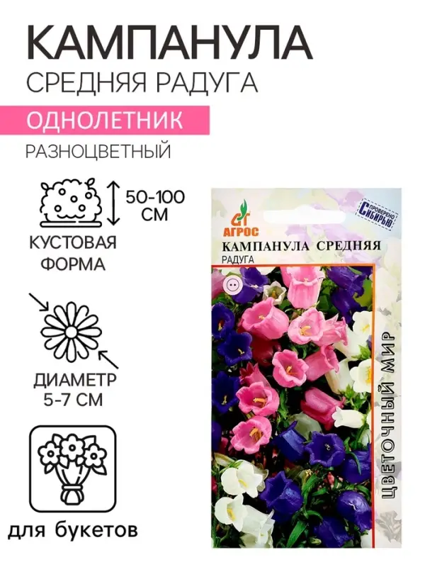 Семена Кампанула «Средняя Радуга», 0.1 г, «Агрос» Семена Кампанула «Средняя Радуга», 0.1 г, «Агрос»