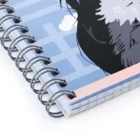 Компл тетр из 3шт 96л кл на гребне Аниме Девочка с котом, обл мел карт, офсет (10296906) Компл тетр из 3шт 96л кл на гребне Аниме Девочка с котом, обл мел карт, офсет (10296906)