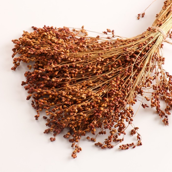 Набор сухоцветов "Сорго", банч 3-5 шт, длина 60 (+/- 6 см), натуральный