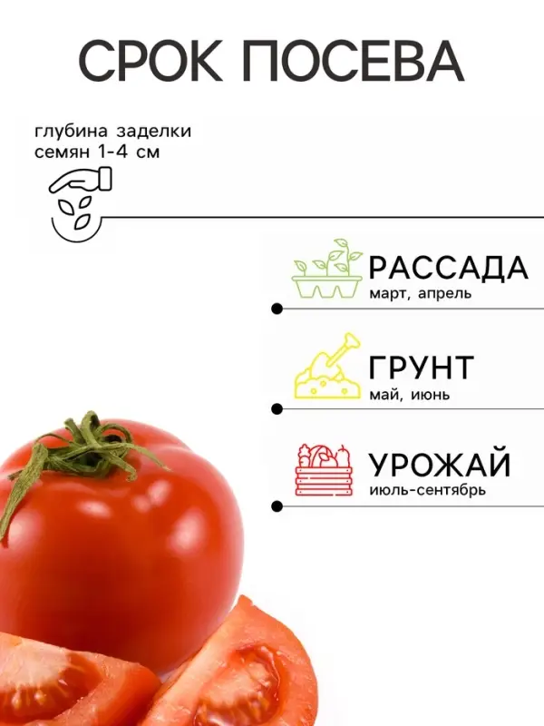 Семена Томат &laquo;Лисичка&raquo; скороспелый, детерминантный, среднерослый, 25 шт. Selekt &laquo;Дом семян&raquo;